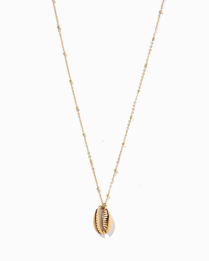 Little Gold Shell Necklace